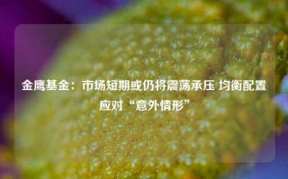 金鹰基金：市场短期或仍将震荡承压 均衡配置应对“意外情形”