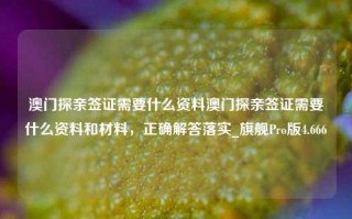 澳门探亲签证需要什么资料澳门探亲签证需要什么资料和材料，正确解答落实_旗舰Pro版4.666