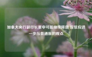 加拿大央行副行长重申可能继续降息 反驳应进一步压低通胀的观点