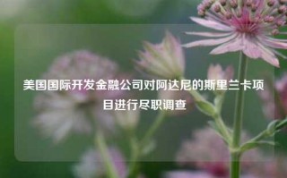 美国国际开发金融公司对阿达尼的斯里兰卡项目进行尽职调查