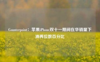 Counterpoint：苹果iPhone双十一期间在华销量下滑两位数百分比