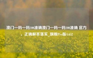 澳门一码一码100准确澳门一码一码100准确 官方，正确解答落实_旗舰Pro版4.652