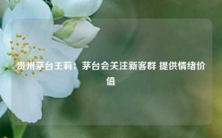 贵州茅台王莉：茅台会关注新客群 提供情绪价值