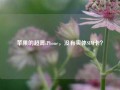 苹果的超薄iPhone，没有实体SIM卡？