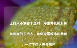 主持人不慎吞下鱼刺，穿出胃扎到肝被鱼刺死的主持人，鱼刺穿胃致命的悲剧，一位主持人意外离世