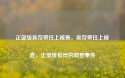 正部级吴存荣任上被查，吴存荣任上被查，正部级官员的调查事件