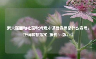 素未谋面和社燕秋鸿素未谋面意思是什么意思，正确解答落实_旗舰Pro版4.679