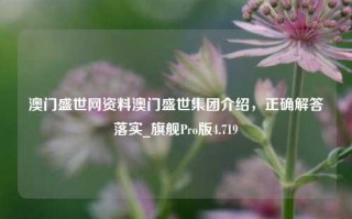 澳门盛世网资料澳门盛世集团介绍，正确解答落实_旗舰Pro版4.719