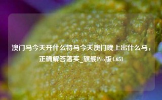 澳门马今天开什么特马今天澳门晚上出什么马，正确解答落实_旗舰Pro版4.651