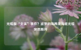 光缆版“北溪”事件？波罗的海两条海底光缆突然断开