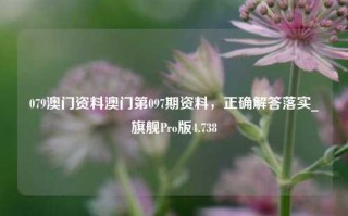 079澳门资料澳门第097期资料，正确解答落实_旗舰Pro版4.738