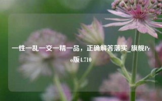 一性一乱一交一精一品，正确解答落实_旗舰Pro版4.710