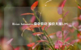 Rivian Automotive盘中异动 股价大涨5.29%