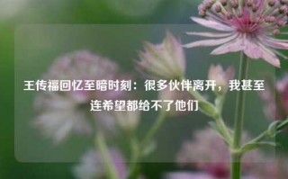 王传福回忆至暗时刻：很多伙伴离开，我甚至连希望都给不了他们