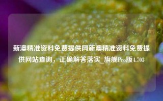 新澳精准资料免费提供网新澳精准资料免费提供网站查询，正确解答落实_旗舰Pro版4.703