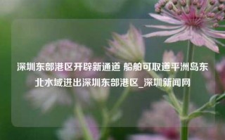 深圳东部港区开辟新通道 船舶可取道平洲岛东北水域进出深圳东部港区_深圳新闻网