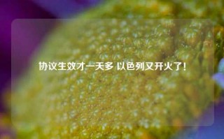 协议生效才一天多 以色列又开火了！