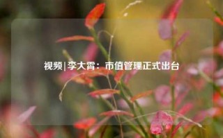 视频|李大霄：市值管理正式出台