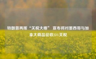 特朗普再挥“关税大棒” 宣布将对墨西哥与加拿大商品征收25%关税