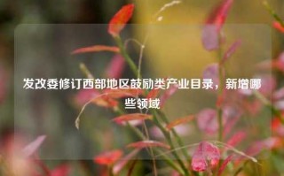 发改委修订西部地区鼓励类产业目录，新增哪些领域