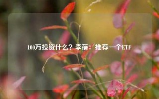 100万投资什么？李蓓：推荐一个ETF