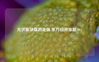 光伏板块盘初走强 东方日升涨超10%