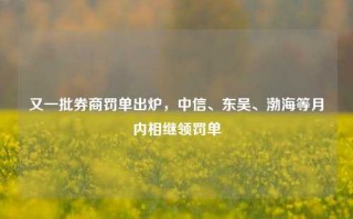 又一批券商罚单出炉，中信、东吴、渤海等月内相继领罚单