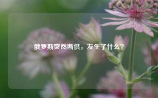 俄罗斯突然断供，发生了什么？