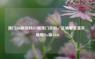 澳门356期资料354期澳门资料，正确解答落实_旗舰Pro版4.646