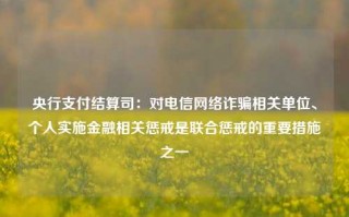 央行支付结算司：对电信网络诈骗相关单位、个人实施金融相关惩戒是联合惩戒的重要措施之一