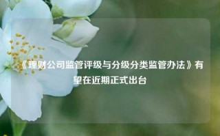 《理财公司监管评级与分级分类监管办法》有望在近期正式出台