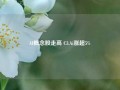 AI概念股走高 C3.Ai涨超5%