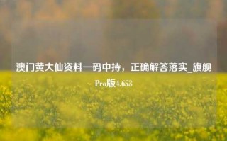 澳门黄大仙资料一码中持，正确解答落实_旗舰Pro版4.653