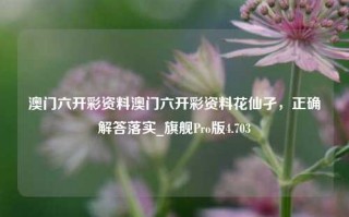 澳门六开彩资料澳门六开彩资料花仙孑，正确解答落实_旗舰Pro版4.703