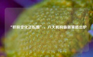 “积极变化正酝酿”，六大机构最新策略出炉