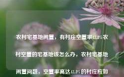 农村宅基地闲置，有村庄空置率43.8%农村空置的宅基地该怎么办，农村宅基地闲置问题，空置率高达43.8%的村庄应如何处理？