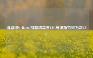 消息称Stellantis拟聘请苹果CFO马埃斯特里为新CEO