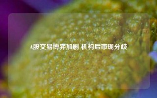 A股交易博弈加剧 机构后市现分歧