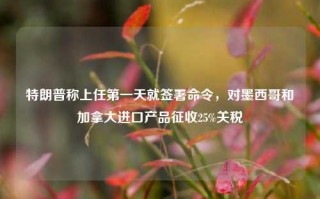 特朗普称上任第一天就签署命令，对墨西哥和加拿大进口产品征收25%关税