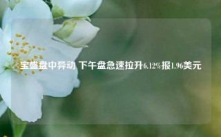 宝盛盘中异动 下午盘急速拉升6.12%报1.96美元