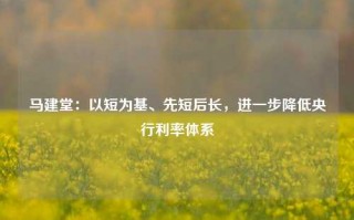 马建堂：以短为基、先短后长，进一步降低央行利率体系