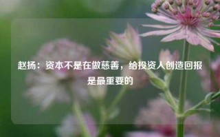 赵扬：资本不是在做慈善，给投资人创造回报是最重要的