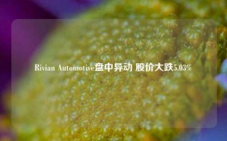 Rivian Automotive盘中异动 股价大跌5.03%