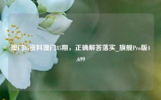 澳门85资料澳门85期，正确解答落实_旗舰Pro版4.699