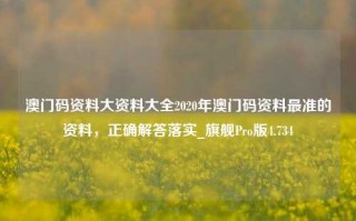 澳门码资料大资料大全2020年澳门码资料最准的资料，正确解答落实_旗舰Pro版4.734