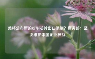 美将公布新的对华芯片出口限制？商务部：坚决维护中国企业权益