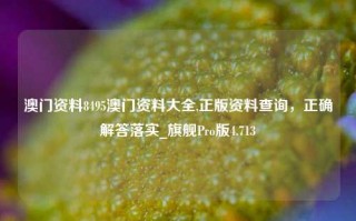 澳门资料8495澳门资料大全,正版资料查询，正确解答落实_旗舰Pro版4.713