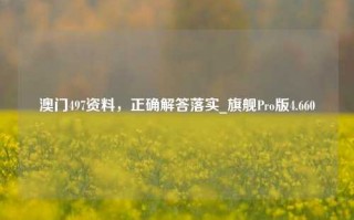 澳门497资料，正确解答落实_旗舰Pro版4.660