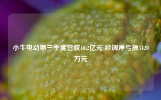 小牛电动第三季度营收10.2亿元 经调净亏损3420万元