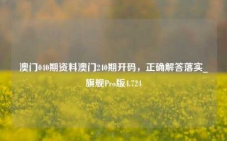 澳门040期资料澳门240期开码，正确解答落实_旗舰Pro版4.724